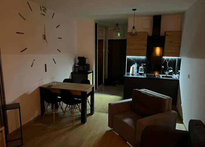 Przy Centrum Aquapark Apartment